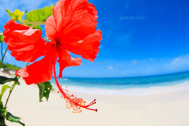 気兼ねなく通える