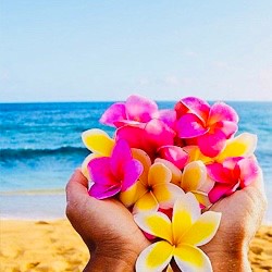 ロミロミマッサージの目的